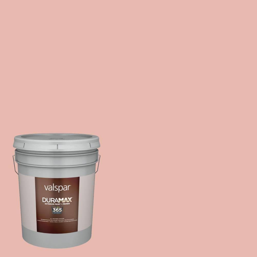 Satin Exterior Paint (5-Gallon) E9546
